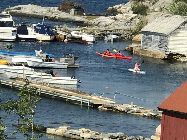 Mjømna Kystcamp — Photo 2