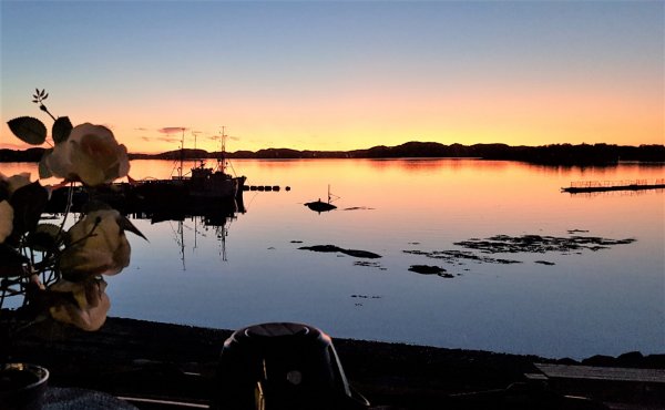 Mjømna Kystcamp — Photo 6