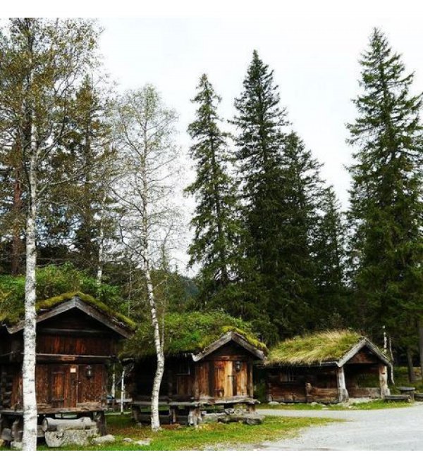 Mjonøy Camping — Photo 2