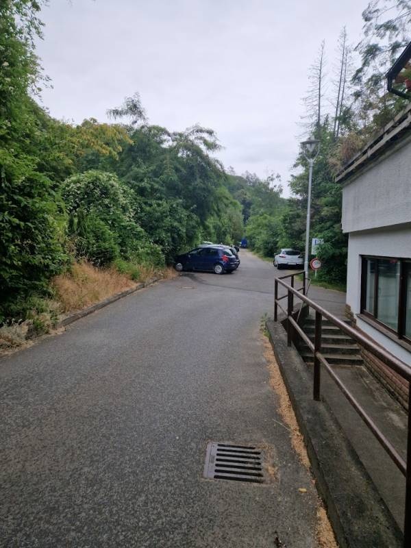 Herbert Schwing — Camping in Schriesheim