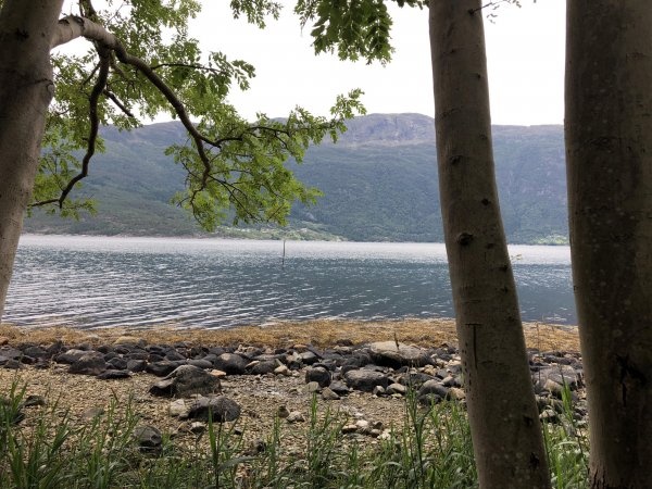 Ringøy Gård — Campingplads in Ullensvang