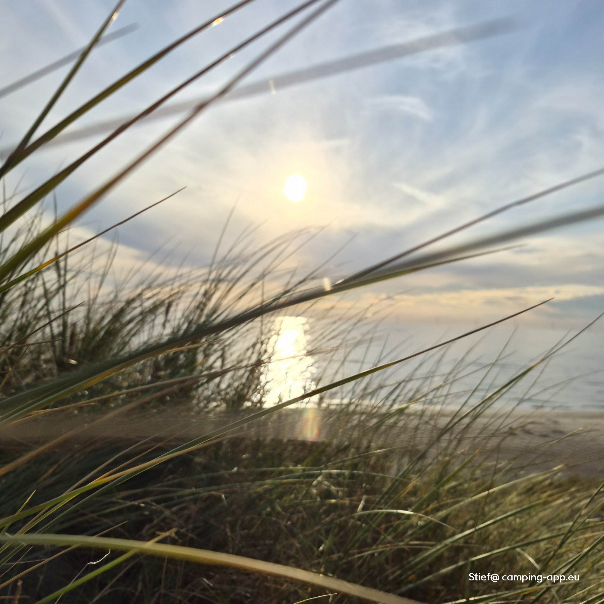 DCU-Camping Lyngvig Strand
