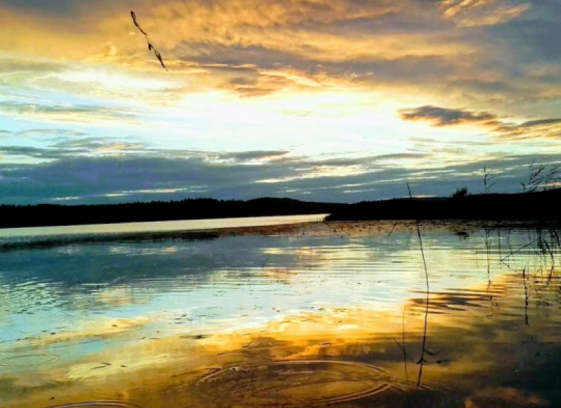 Norra Dellen Familjecamping — Kemp in Bjuråker