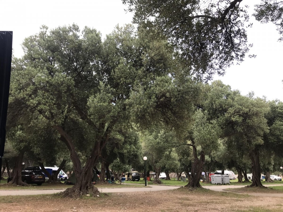 Camping Prapratno — Campingplatz in Ston