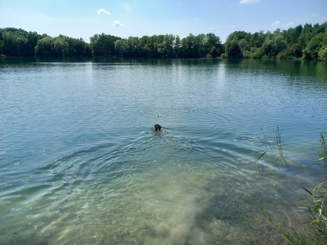 Campingplatz Westheide — Kemping in Greven