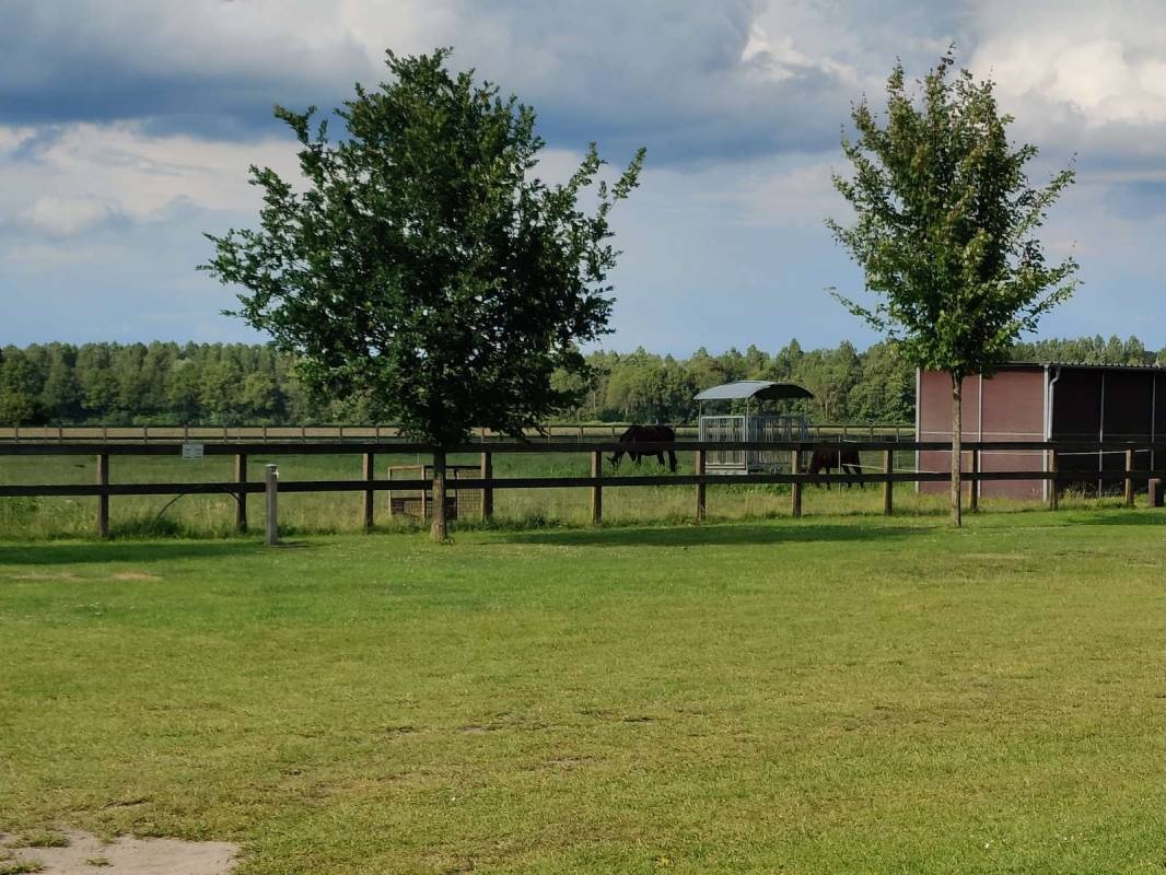 Campingplatz Westheide — Campingplats in Greven
