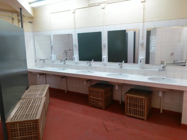 Ecoparque Do Outão — Photo 3