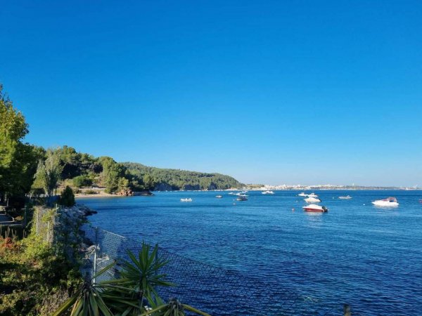 Ecoparque Do Outão — Photo 4