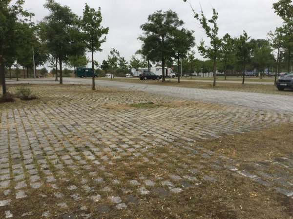 Natur Campingplatz Lilienhof — Photo 4