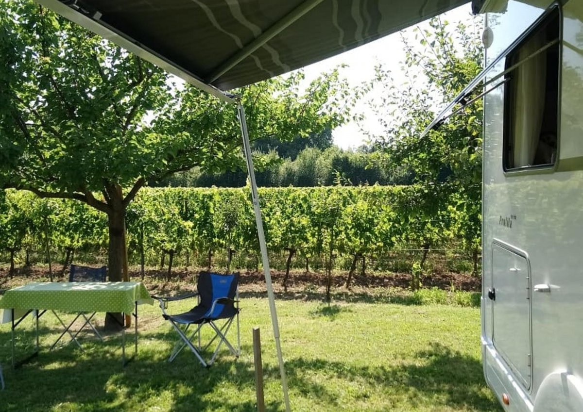 (geschlossen) Chateau d'Esther — Winery in Gironde
