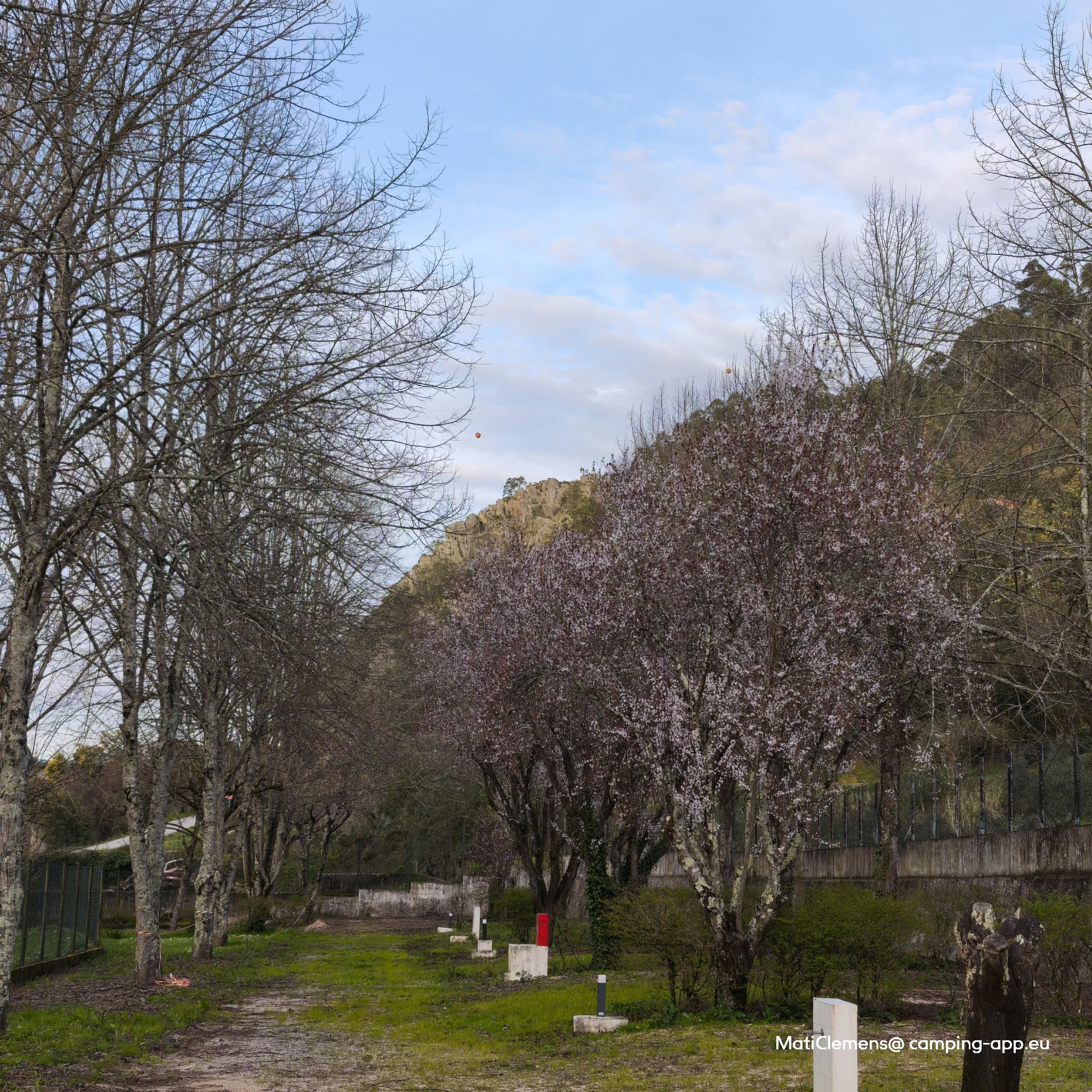Parque de Campismo de Penacova / Vila Nova