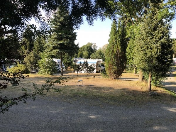 Harz Camp Göttingerode — Campingplads in Bad Harzburg