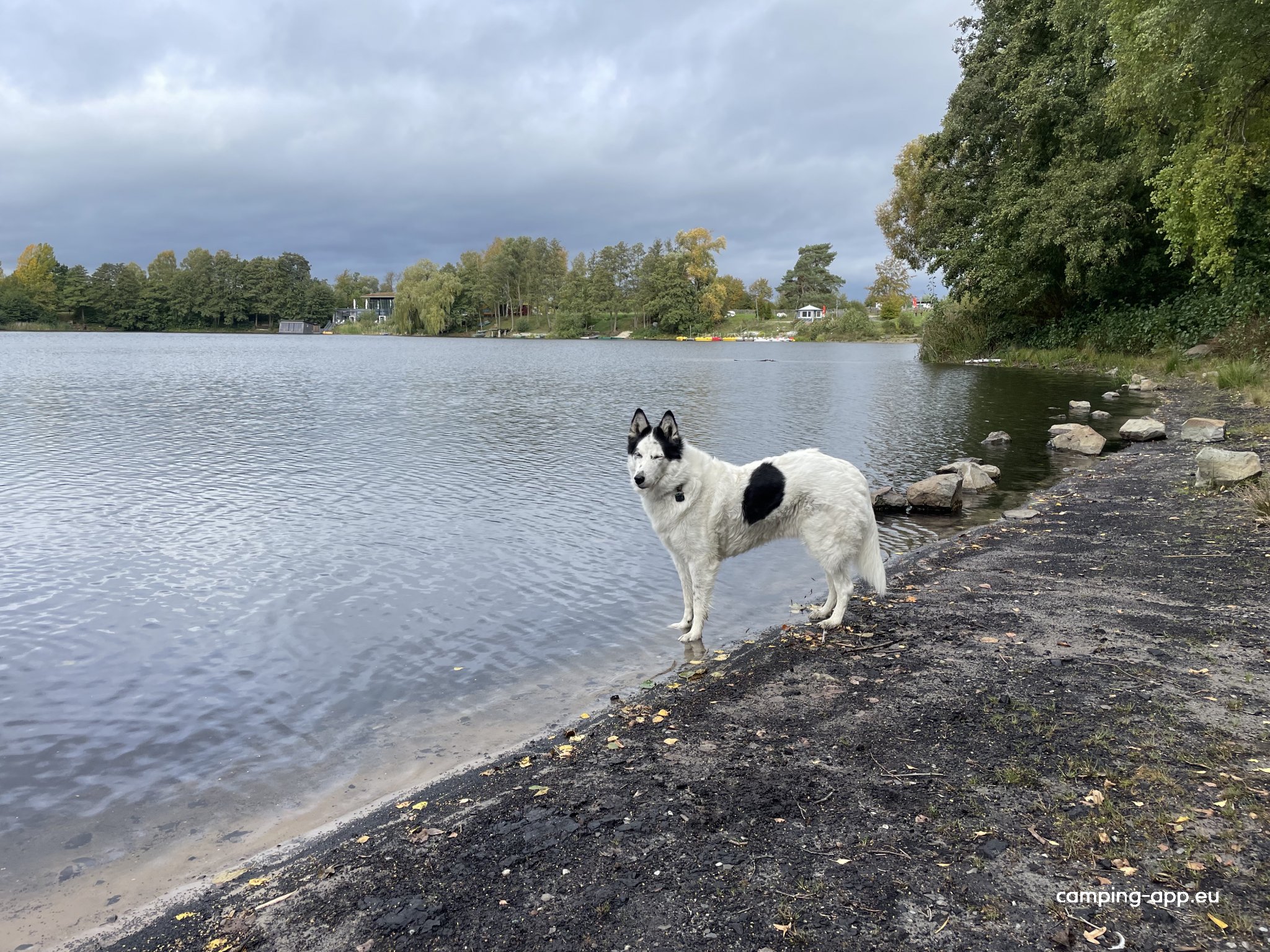 Wohnmobilpark Silbersee Frielendorf — Fotoğraf 4