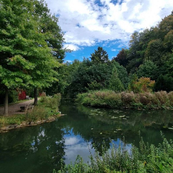 Schloss Großlaupheim — Foto 5
