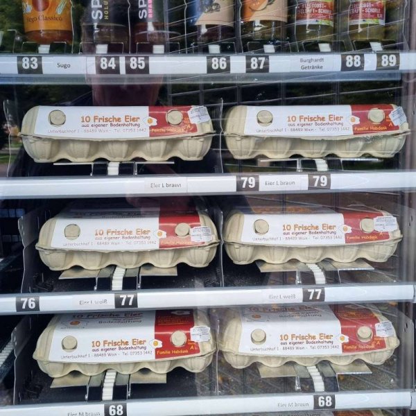 Schloss Großlaupheim — Photo 4