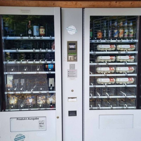 Schloss Großlaupheim — Photo 3