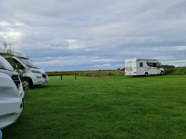 Sternlicht — Photo 3