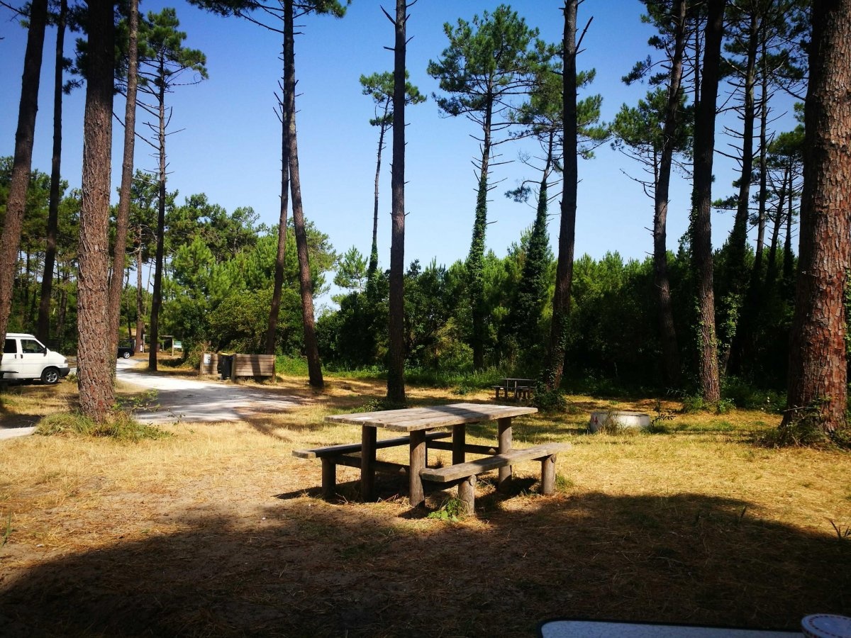 Aire de Camping Cars — Sp. parking dla kamperów in Lège-Cap-Ferret