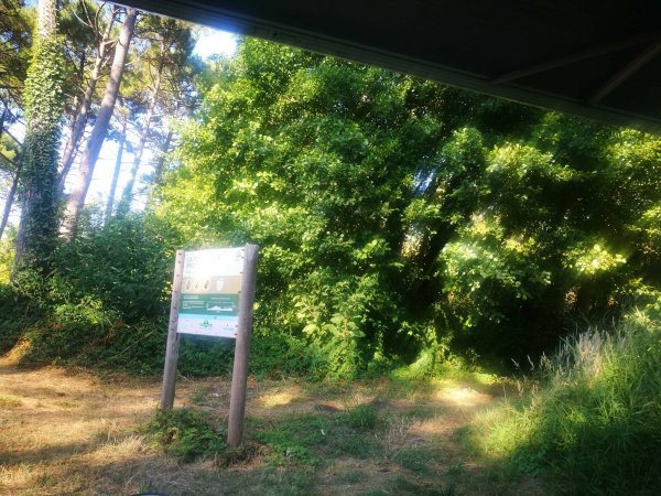 Aire de Camping Cars — Photo 3