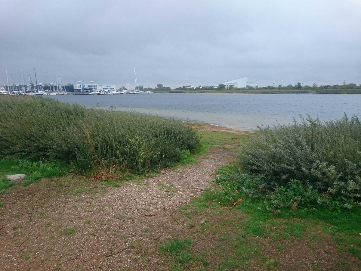 Tangloppen Camping — 露营地 in Ishøj Kommune