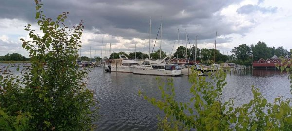 Tangloppen Camping — Photo 4