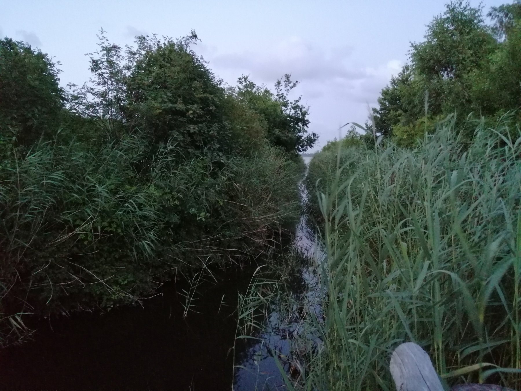 Pod Świerkami Agroturystyka — Area di sosta in Kołczewo