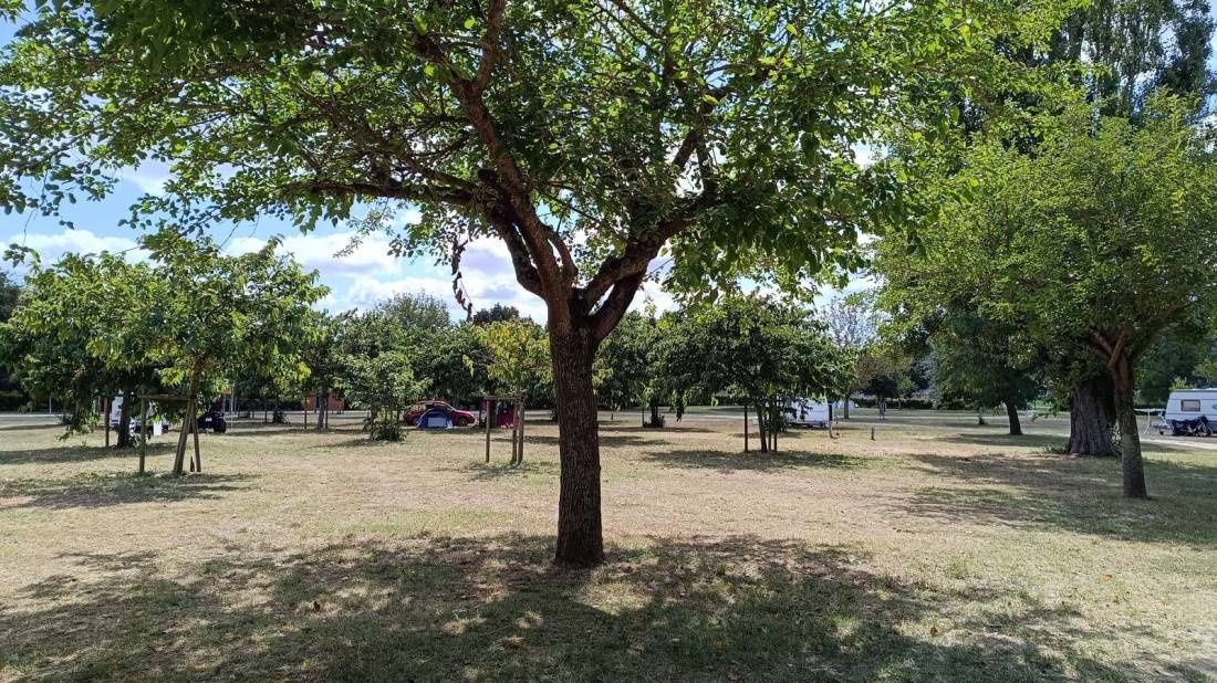 Camping Bellevue — Campingplads in Muides-sur-Loire