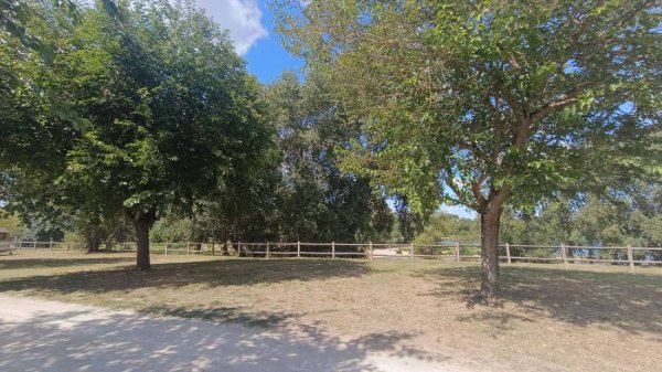 Camping Bellevue — Photo 5