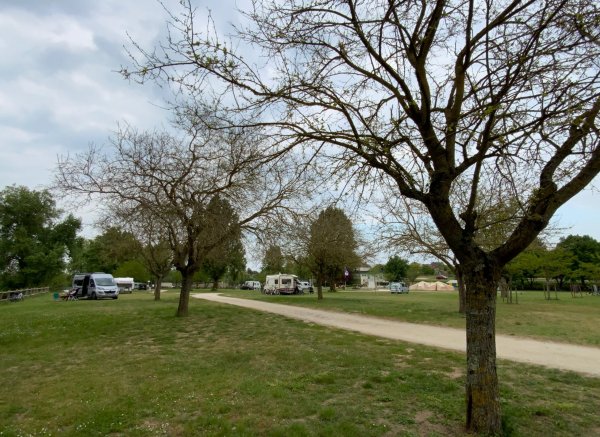 Camping Bellevue — Photo 2