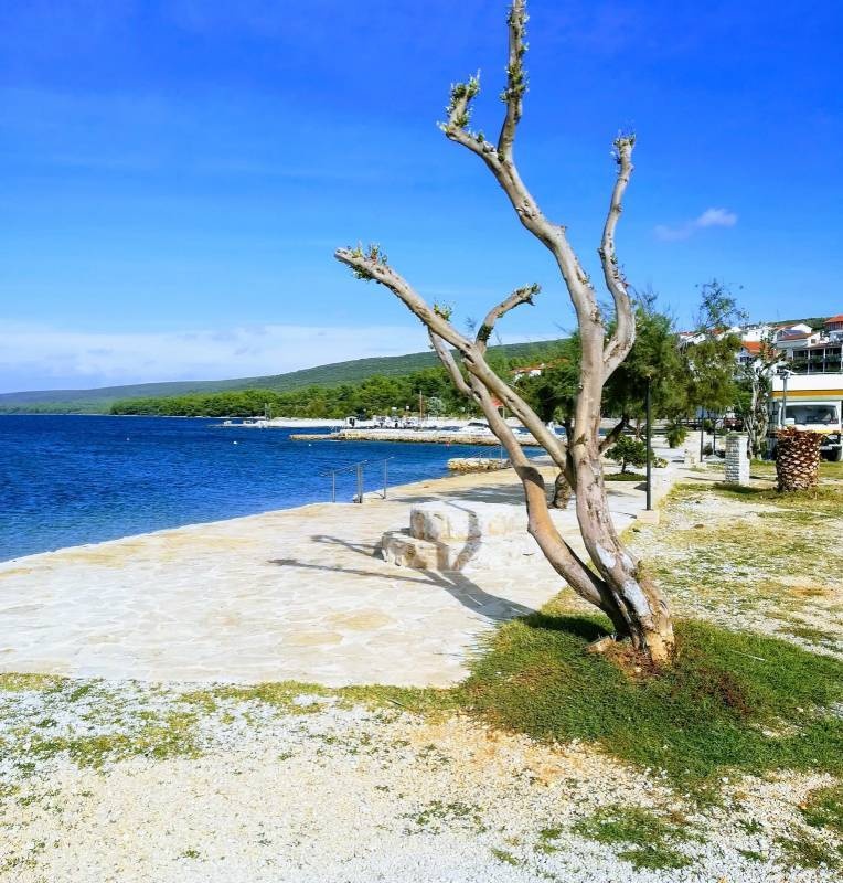 Autocamp Filko — Campingplass in Sveti Petar na moru