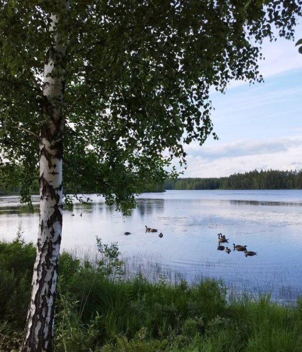 Momos Camping Orrefors — Photo 4