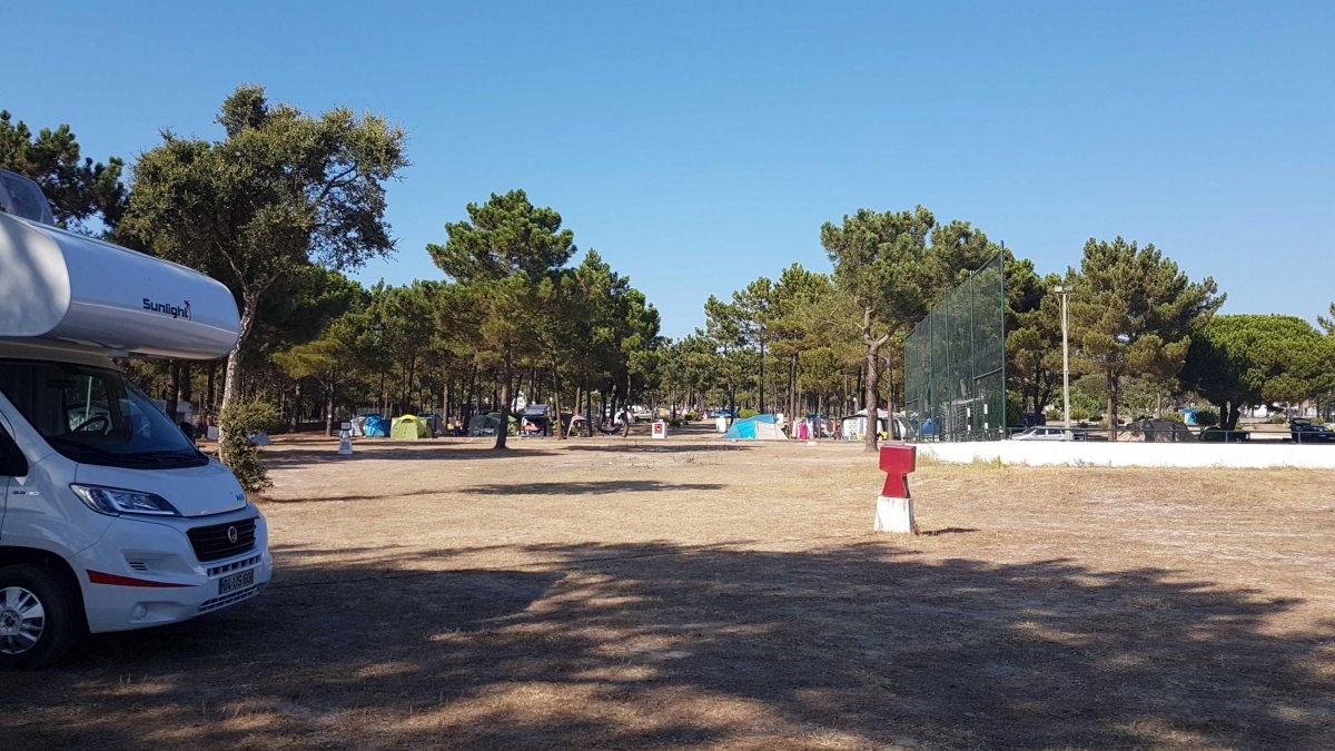 Santo André, Portugal — Kemp in Santo André