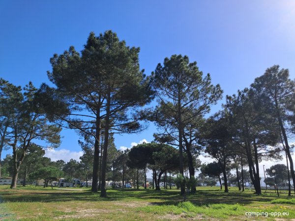 Santo André, Portugal — Foto 5