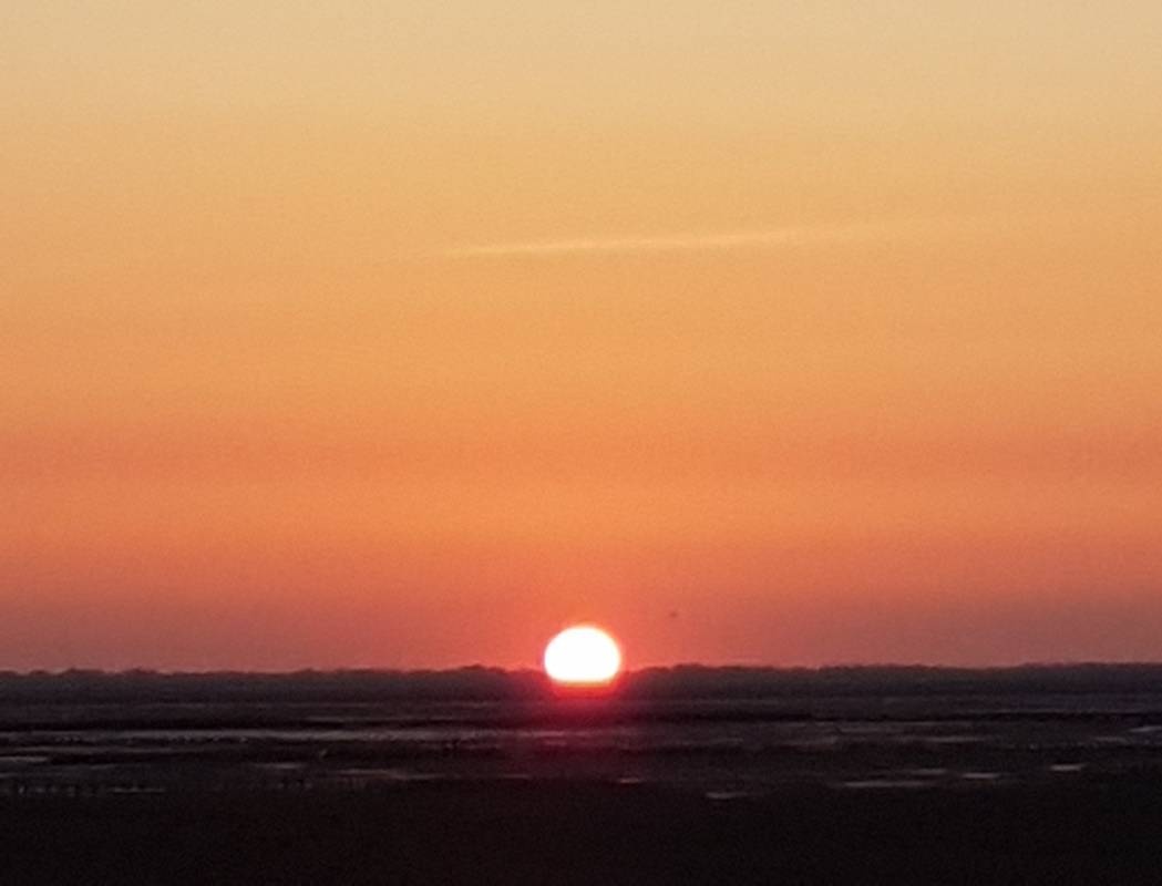 Camping Wesselburenerkoog — 露营地 in Wesselburenerkoog