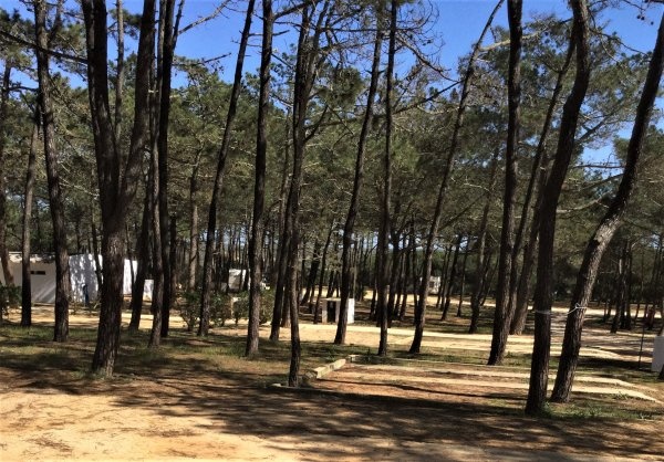 Camping & Bungalows Orbitur Sagres — Kemp in Sagres