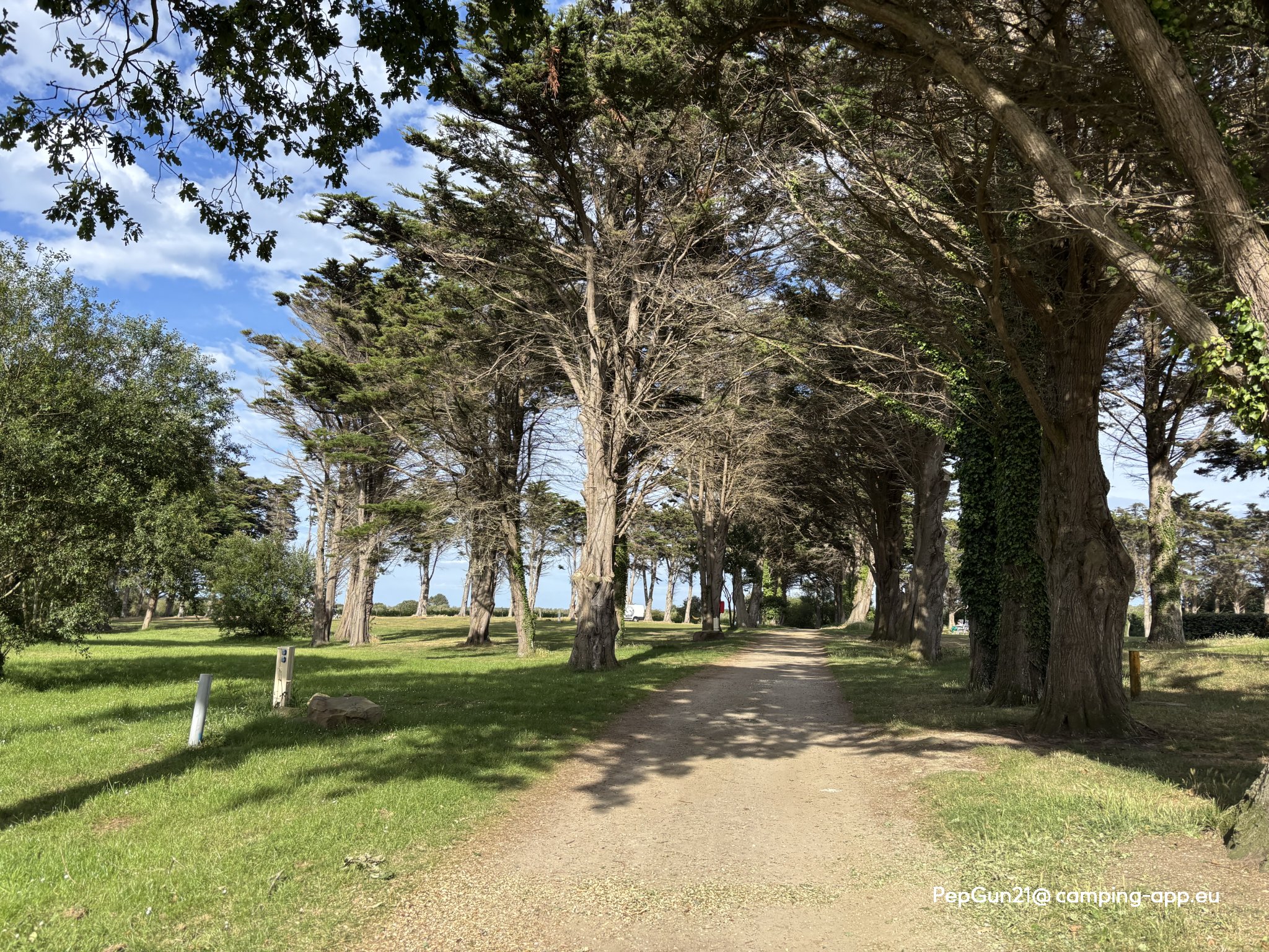 Camping du Cap Fréhel — Fotografie 4