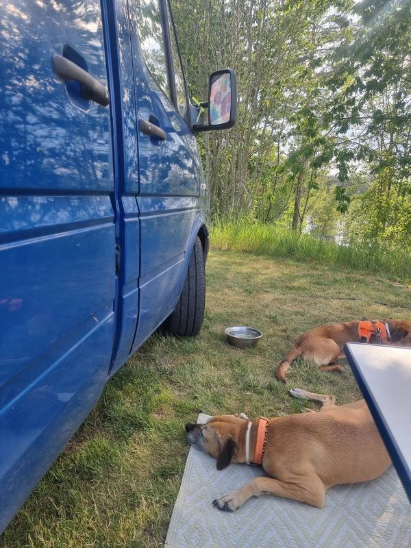 Vimmerby Camping Nossenbaden — Photo 4