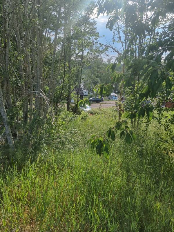 Vimmerby Camping Nossenbaden — Photo 5