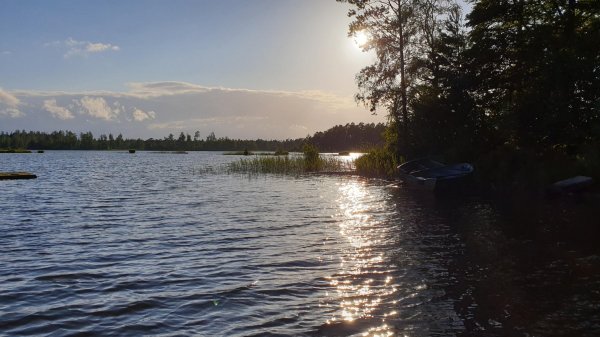 Rotahults Naturcamping — Photo 2