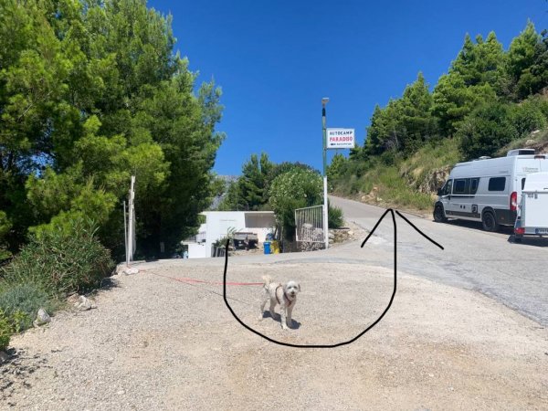 Camp Paradiso — Photo 5