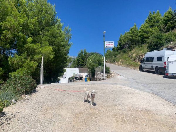 Camp Paradiso — Photo 3