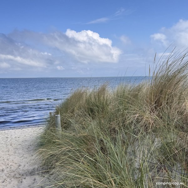 Dat Stranddörp — Photo 3