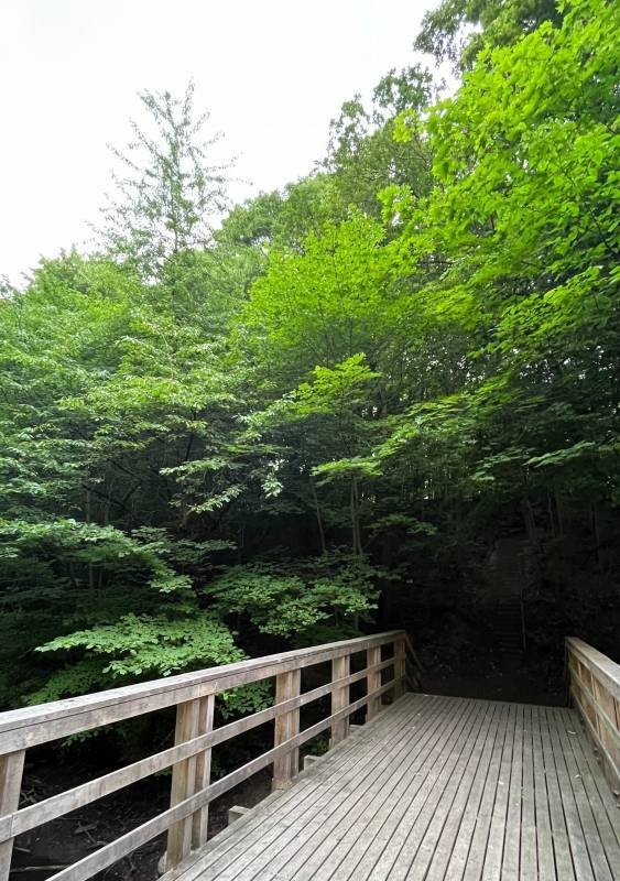 DCU-Copenhagen Camp — Місце для кемпінгу in Rødovre