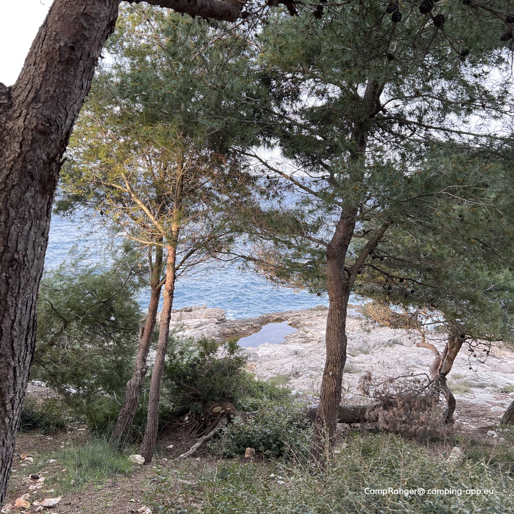 Arena Stoja Campsite — Foto 4