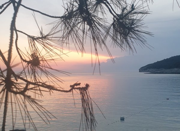 Arena Stoja Campsite — Photo 3