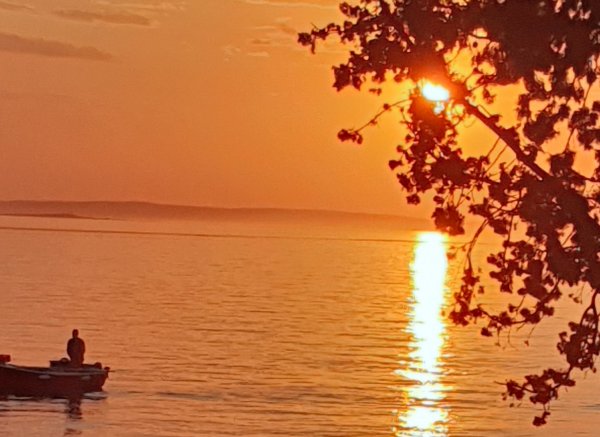 Autocamp Plantaza — Photo 4