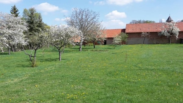 Wohnmobilstellplätze am Storchennest — Aire camping car in Kleinrudestedt