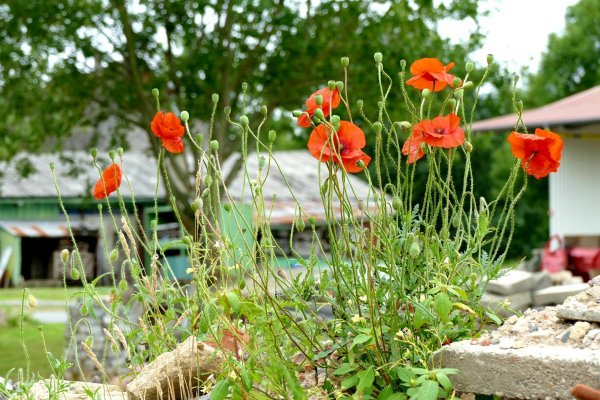 Stellplatz Familie Hink — Photo 2