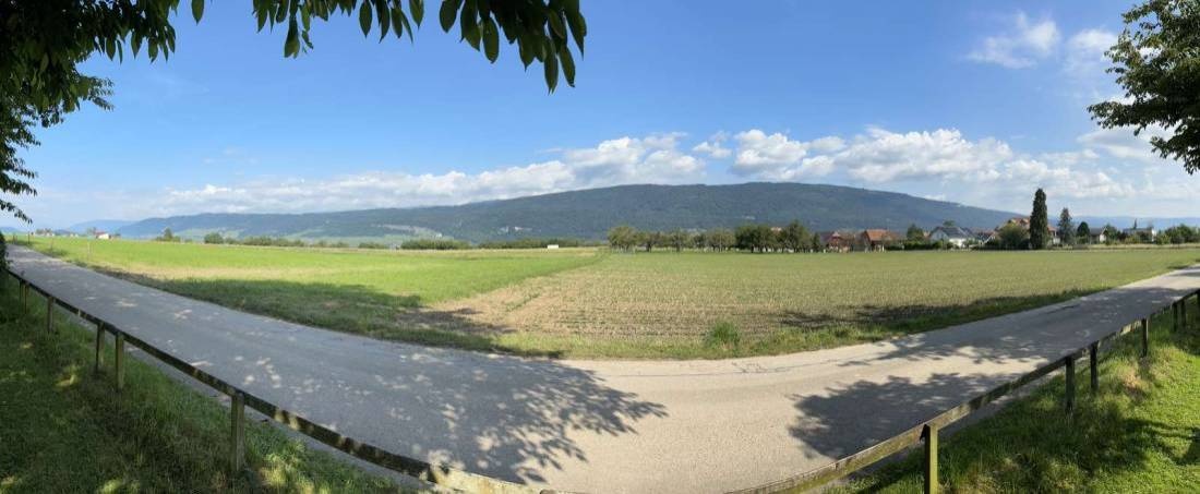 Camping Lindenhof — Camping Site in Sutz-Lattrigen