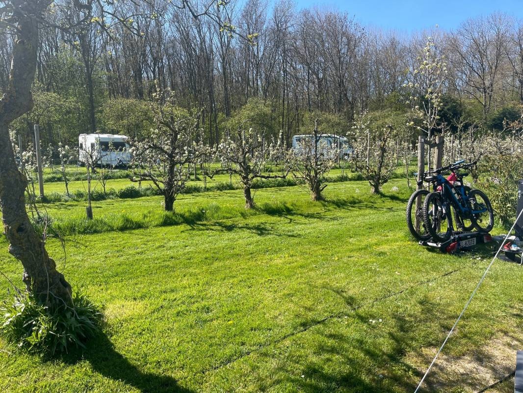 DuinRand Boomgaardcamping — Camping Site in Oostkapelle